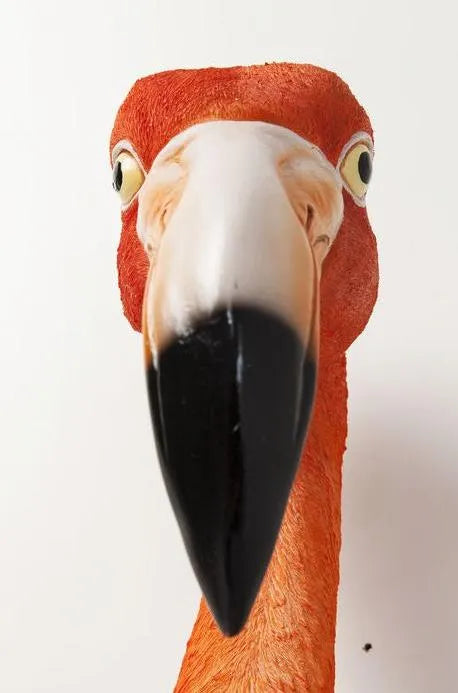 Flamingo Head — Handmade Wall Decoration